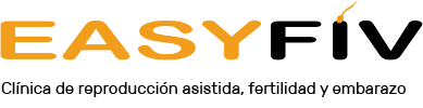 logo easyfiv