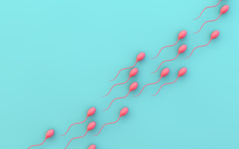 Cómo afecta la salud de los espermatozoides a la fertilidad y cómo mejorarla